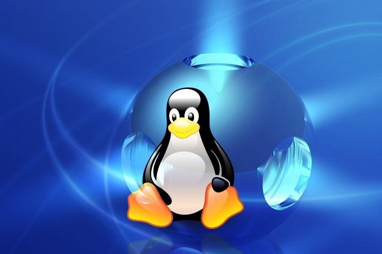 為什么Linux成為服務(wù)器的首選？.jpg