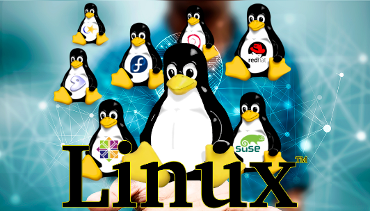 linux分區(qū)滿了怎么辦？.png